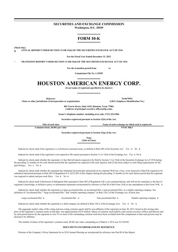 Miniature Houston American Energy 10-K Rapport annuel 2013