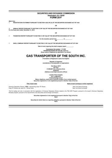 Thumbnail Transportadora de Gas del Sur 20-F Annual Report 2018