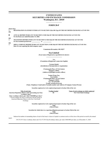 Thumbnail Sea Limited 20-F Annual Report 2020