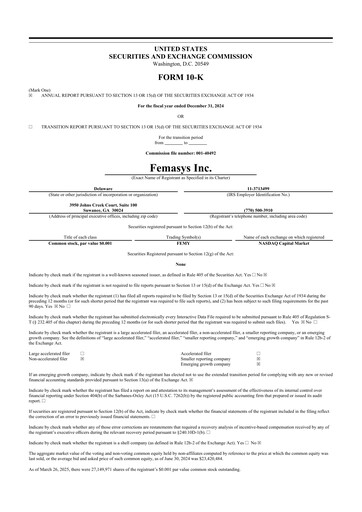 Thumbnail Femasys 10-K Annual Report 2024