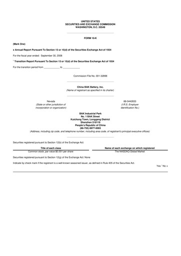 Thumbnail CBAK Energy Technology 10-K Annual Report 