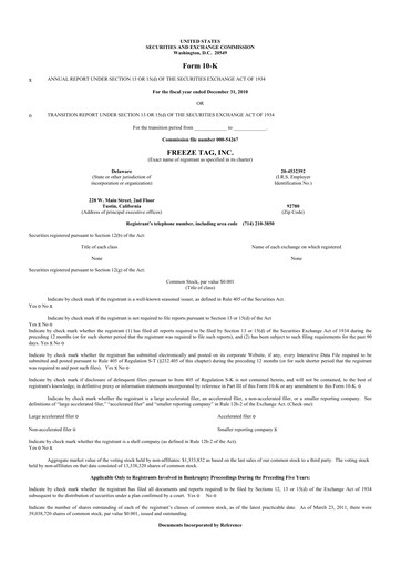 Thumbnail Freeze Tag 10-K Annual Report 