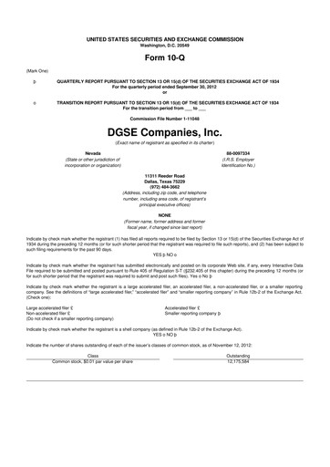 Vorschaubild Envela Corporation 10-Q Quartalsbericht 2012 