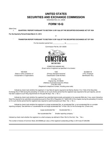 Thumbnail Comstock Inc. 10-Q Quarterly Report FY2013 