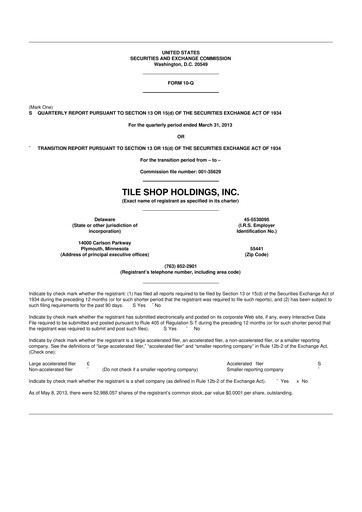 Thumbnail Tile Shop Holdings 10-Q Quarterly Report FY2013 