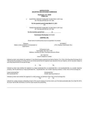 Thumbnail Cemtrex 10-Q Quarterly Report FY2013 