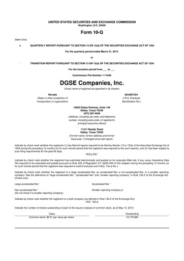 Vorschaubild Envela Corporation 10-Q Quartalsbericht 2013 