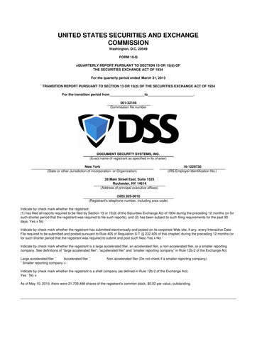 Thumbnail DSS, Inc. (Document Security Systems) 10-Q Quarterly Report FY2013 