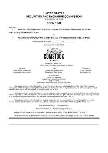 Thumbnail Comstock Inc. 10-Q Quarterly Report FY2013 