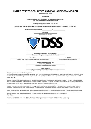 Thumbnail DSS, Inc. (Document Security Systems) 10-Q Quarterly Report FY2013 