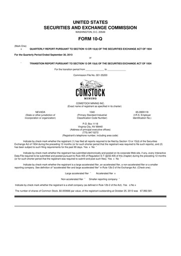 Thumbnail Comstock Inc. 10-Q Quarterly Report FY2013 