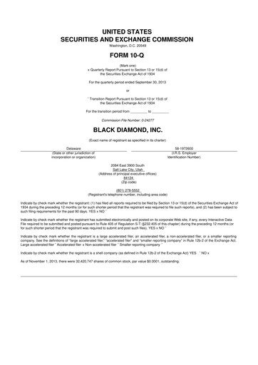 Thumbnail Clarus
 10-Q Quarterly Report FY2013 