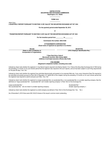 Miniature Cytosorbents 10-Q Rapport trimestriel 2013 