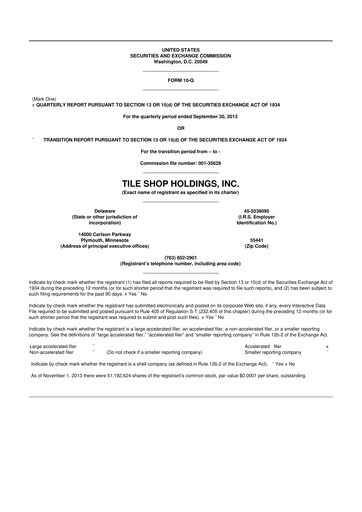 Thumbnail Tile Shop Holdings 10-Q Quarterly Report FY2013 