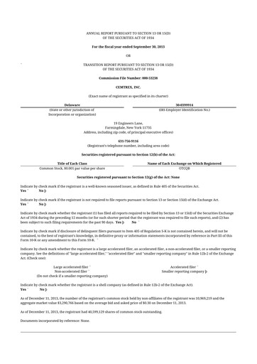 Miniature Cemtrex 10-K Rapport annuel 2013