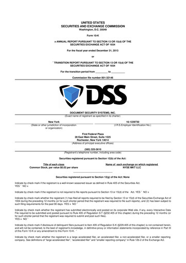 Thumbnail DSS, Inc. (Document Security Systems) 10-K Annual Report 2013
