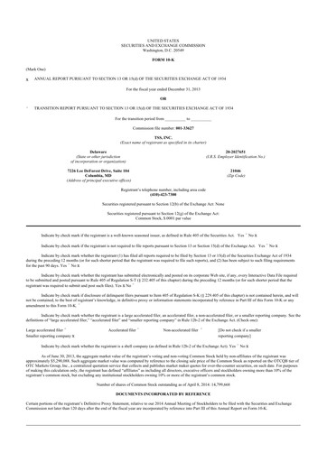 Thumbnail TSS, Inc. 10-K Annual Report 2013