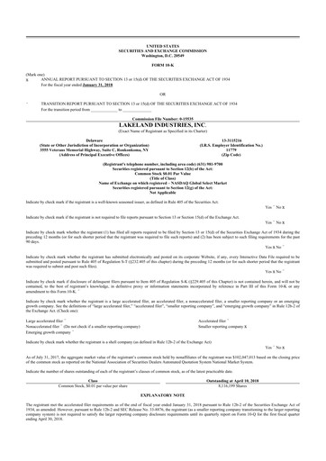 Thumbnail Lakeland Industries
 10-K Annual Report 2018