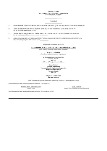 Thumbnail Tanzanian Gold Corporation 20-F Annual Report 