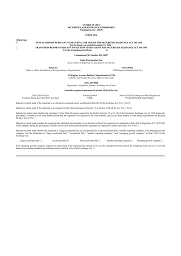 Thumbnail Anika Therapeutics 10-K Annual Report 2024