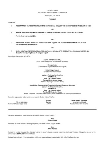 Vorschaubild Aura Minerals 20-F Jahresbericht 