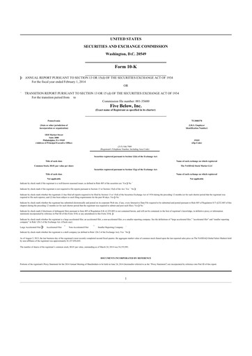 Thumbnail Five Below
 10-K Annual Report 2013