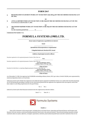Thumbnail Formula Systems
 20-F Annual Report 