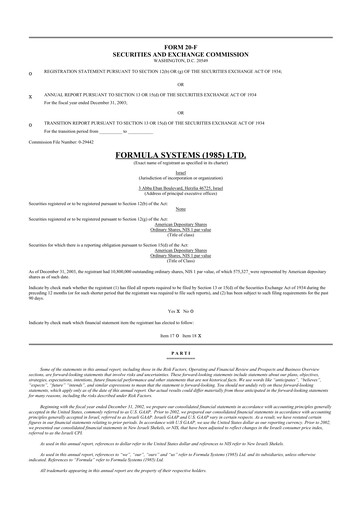 Thumbnail Formula Systems
 20-F Annual Report 