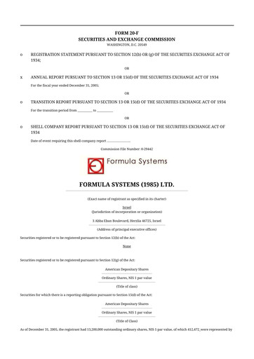 Thumbnail Formula Systems
 20-F Annual Report 