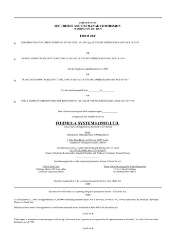 Thumbnail Formula Systems
 20-F Annual Report 