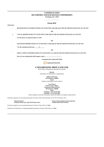 Thumbnail Caesarstone
 20-F Annual Report 2013