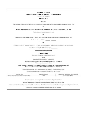 Thumbnail Camtek 20-F Annual Report 2020