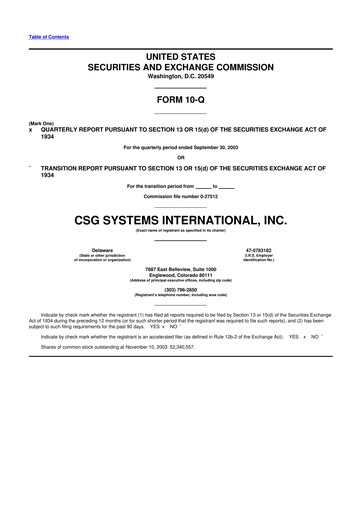 Thumbnail CSG International
 10-Q Quarterly Report FY 