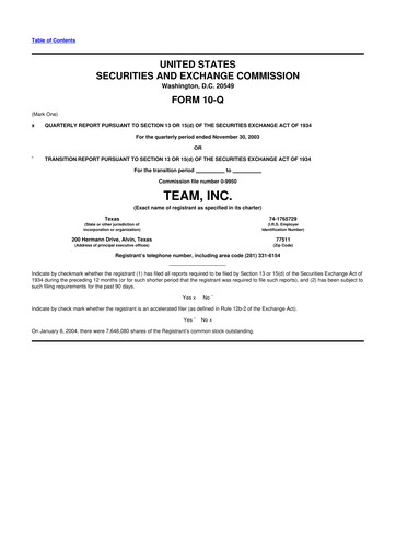 Thumbnail Team Inc 10-Q Quarterly Report FY 