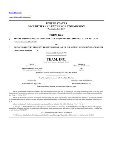 Thumbnail Team Inc 10-K Annual Report 