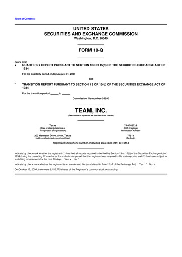 Thumbnail Team Inc 10-Q Quarterly Report FY 