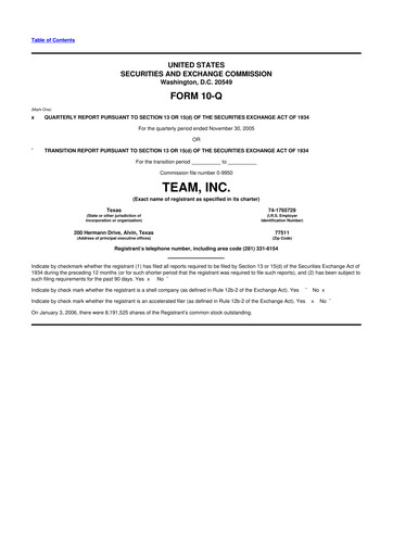 Thumbnail Team Inc 10-Q Quarterly Report FY 