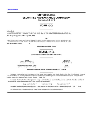 Thumbnail Team Inc 10-Q Quarterly Report FY 