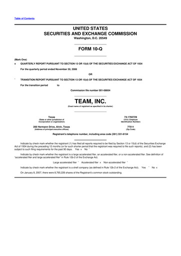 Thumbnail Team Inc 10-Q Quarterly Report FY 