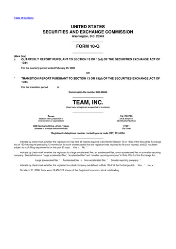 Thumbnail Team Inc 10-Q Quarterly Report FY 