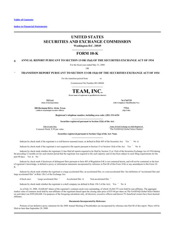 Thumbnail Team Inc 10-K Annual Report 