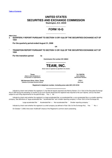 Thumbnail Team Inc 10-Q Quarterly Report FY 