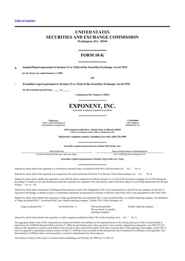 Thumbnail Exponent
 10-K Annual Report 