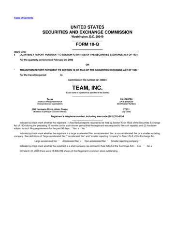 Thumbnail Team Inc 10-Q Quarterly Report FY 