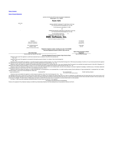 Miniature BMC Software 10-K Rapport annuel 