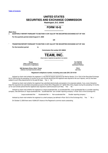 Thumbnail Team Inc 10-Q Quarterly Report FY 