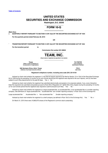 Thumbnail Team Inc 10-Q Quarterly Report FY 