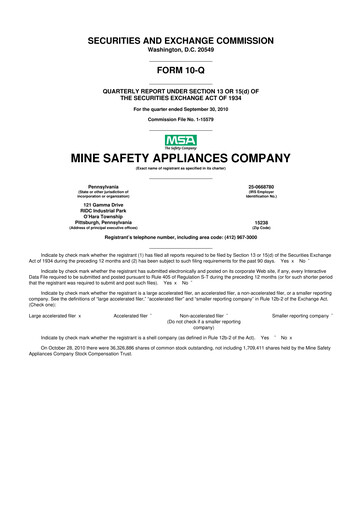 Miniature MSA Safety 10-Q Rapport trimestriel 2010 