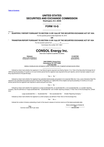 Thumbnail CNX Resources
 10-Q Quarterly Report FY2010 