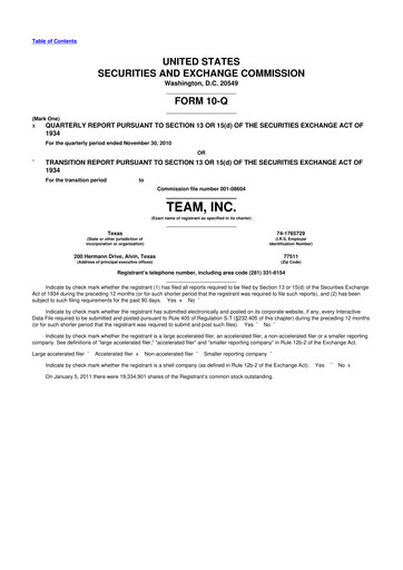 Thumbnail Team Inc 10-Q Quarterly Report FY 